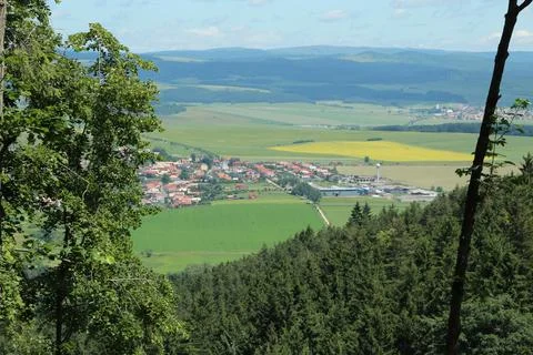 Top view between the trees on the city and the vast plain Stock Photos