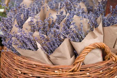 Top view on beutiful fresh lavender flowers in the basket on the street marke Stock Photos