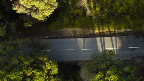 Top view of bicycle riding through green forest asphalt countryside road Stock Footage 148513321