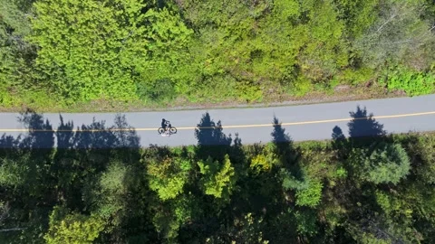 Top View Biker On Trail In Halifax Park Surrounded By Green Trees And Sunshine Stock Footage 328318503