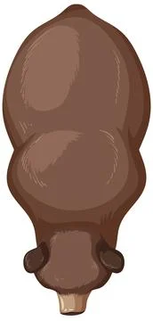 Top View of a Bison Illustration 스톡 일러스트