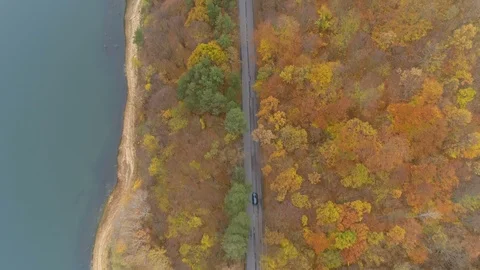 Top view of black car speeding on empty asphalt road in the forest. Top view of Vídeo Stock 119598769
