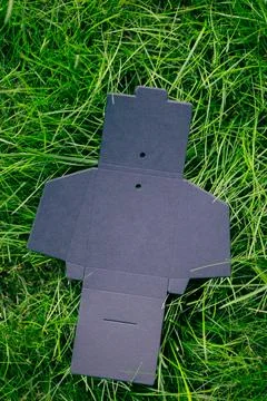 Top view of black empty unfolded box for accessories or clothing tags on green Stock Photos