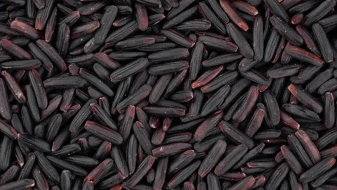 Top view of black rice rotating. Closeup. Macro. Stock Footage 170663076