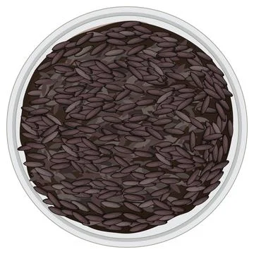 Top View of Black Rice in White Bowl Vector Stock Illustration