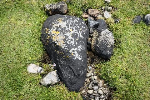 Top view of black stone covered with orange lichen among green grass and pebbles Stock Photos