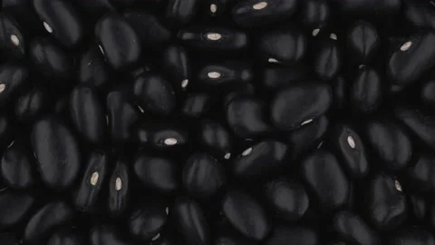Top view of black turtle beans rotating. Closeup. Macro. Stock-Footage 170436819
