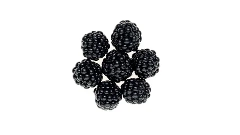 Top view of blackberries rotating. Isolated on white background. Closeup. Stock Footage 166227216