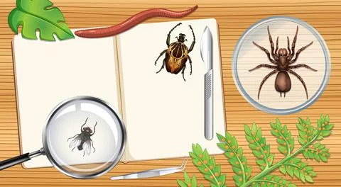 Top view blank book pages on the wooden table close up with leaves and butter Stock Illustration