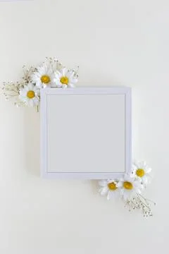 Top view blank frame decorated with white daisy flowers white backdrop Фото
