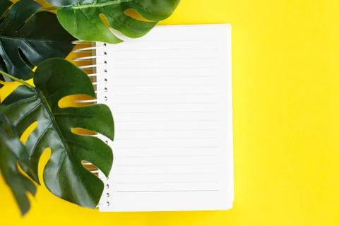 Top view of blank note paper and monstera leaf on yellow background Fotos Stock