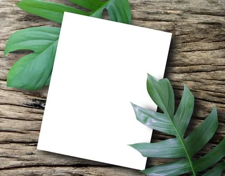 Top view with blank paper sheet with fresh spring green leafs border frame on Stock-Fotos