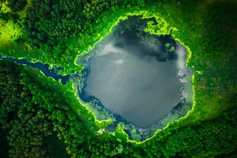 Top view of  blooming algae on the lake Stock Photos