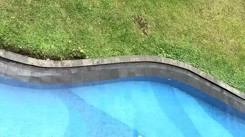 Top View of Blue Pool and Green Lawn in Calm Daylight Stock Footage 327827299