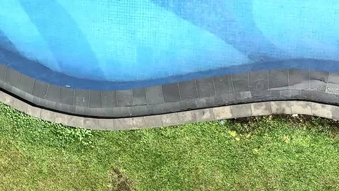 Top View of Blue Pool and Green Lawn in Calm Daylight Stock Footage 327827509