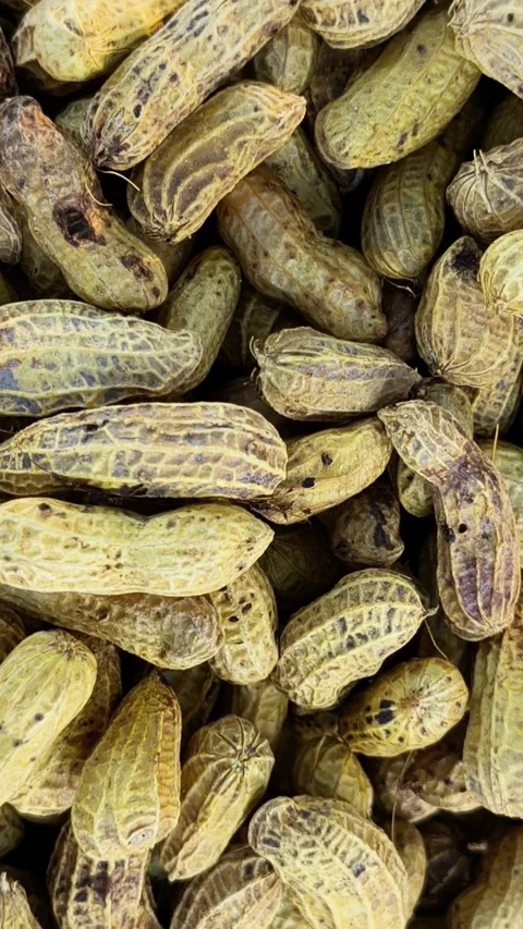 Top View of Boiled Peanuts in Shells Background Stock Footage 335433066