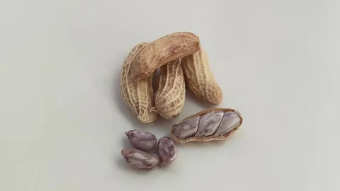 Top view. Boiled peanuts on a white background. Stock Footage 324610411