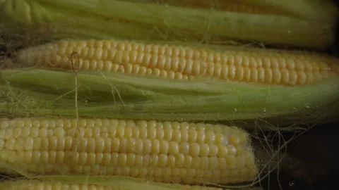 Top view of boiling corn in pot on kitchen stove Stock-Footage 337122652
