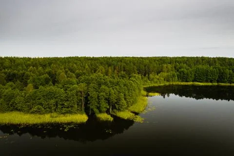 Top view of Bolta lake in the forest in the Braslav lakes National Park at da Fotos Stock