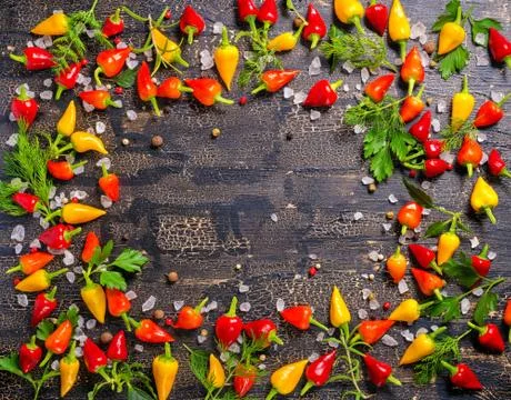 Top view of border spice from dry and hot chili peppers, sea salt, different  写真素材