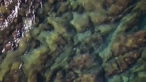 Top view of the bottom and sea waves 库存影片 239856860
