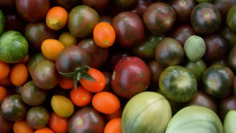 Top view. Box of fresh raw juicy green red tomato. Full HD video Stock Footage 264160763