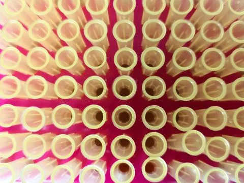 Top view of a box with micropipette tips to work in a scientific laboratory Stock Photos