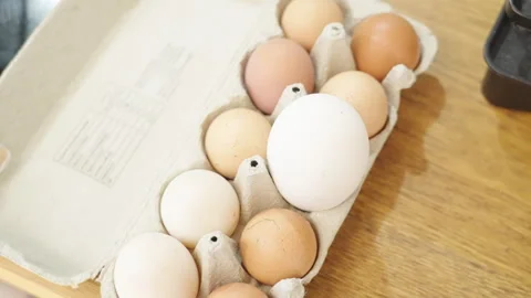 Top view of a box with a single large egg standing out Stock Footage 332720606