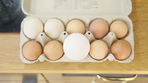 Top view of a box with a single large egg standing out Stock Footage 332720625