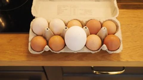 Top view of a box with a single large egg standing out Stock Footage 332720832