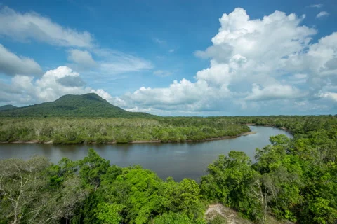 Top view of brackish river curve along the mountain Stock Footage 51145637