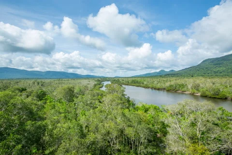Top view of brackish river from the mountain to the sea Stock Footage 51141047