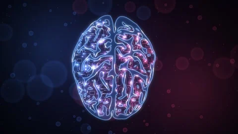 Top View Brain Red Blue Trace Network Loop 動画素材 343248868