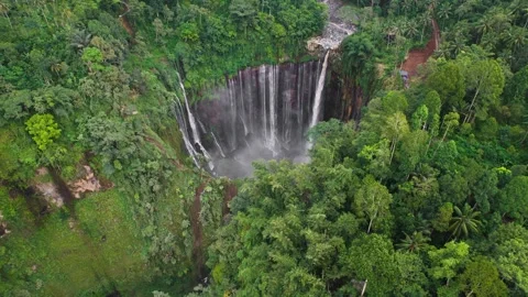 Top view of breathtaking tropical waterfall cascading down lush green cliffs Video stock 295763501