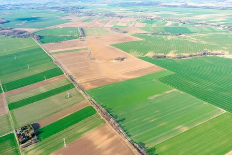 Top view of bright green fields sown with wheat and corn, rural landscape fro Stock Photos