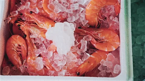 Top view of bright orange prawns packed in a polystyrene box and covered with Stock Footage 322897466
