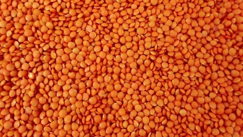 Top view of bright red lentils uncooked seeds circle rotation close up Video stock 234780724