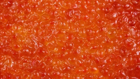 Top view of bright red salmon fish caviar background circle rotation close up Stock Footage 233998204