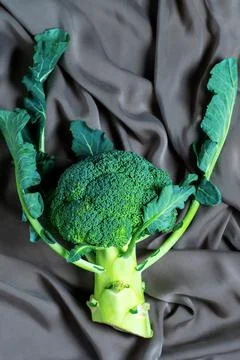 Top view of broccoli on a cloth background Stock Photos
