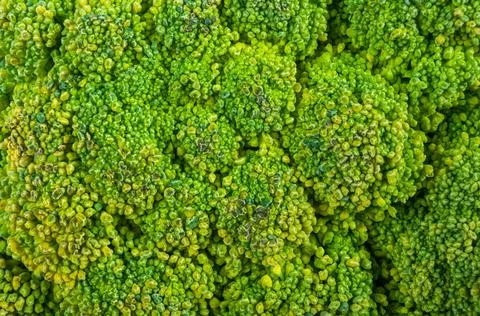 Top view of broccoli, texture of broccoli macro, healthy vegetarian food, clo Stock Photos