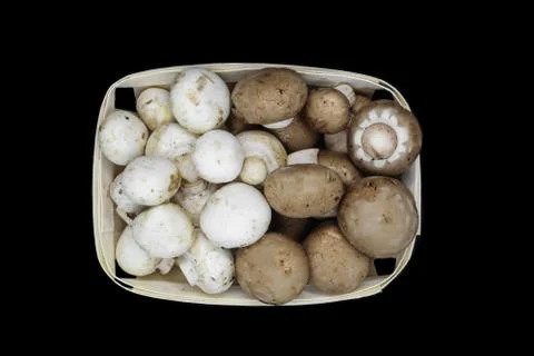 Top view of brown and white champignons mushrooms placed in wooden basket and Stock Photos