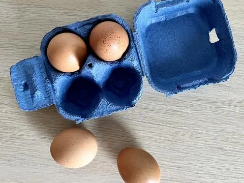 Top view of brown eggs in an egg carton Foto stock