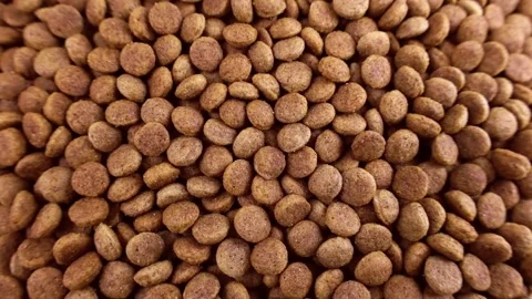 Top view of brown kibble pieces of dry dog food falling down with rotation Stock Footage 233500316
