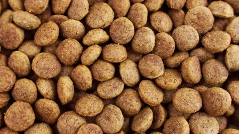 Top view of brown kibble pieces of dry dog food circle rotation close up Stock Footage 233500517