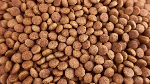 Top view of brown kibble pieces of dry dog food circle rotation close up Stock Footage 233998103