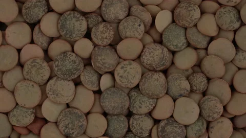 Top view of brown lentils rotating. Closeup. Macro. Stock Footage 170454420