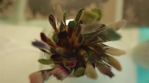 Top View of Brushes on a Glass Video stock 82249894