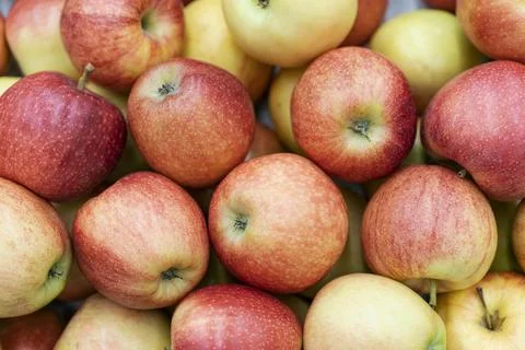 Top view bunch apples Stock Photos