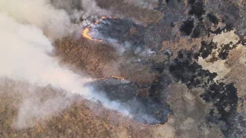 Top view of burning grass in a field in spring, widfire, smoke Stock-Footage 254068941