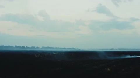 Top view on the burnt crop rye field in smoke and ash. Black burn agricultural Stock Footage 144925566